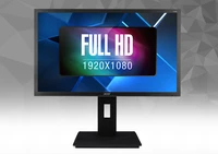 Acer B246HL