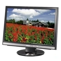 Asus 20" Wide LCD Monitor