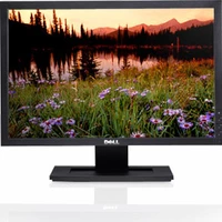 DELL E2009W