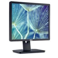 DELL P1913S