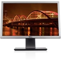 DELL P2210