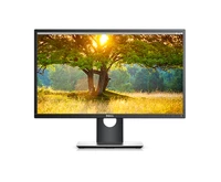 DELL P2417H