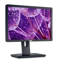 DELL P1913