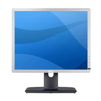 DELL P1913S