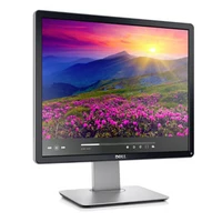 DELL P1914S