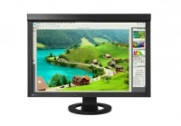 EIZO CG245W