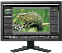 EIZO ColorEdge 24.1" Class Color LCD Monitor