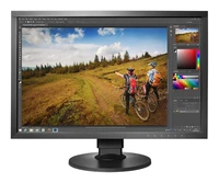 EIZO CS2420