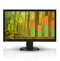 EIZO EV2315W