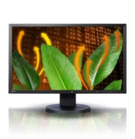 EIZO EV2316WTS-GY