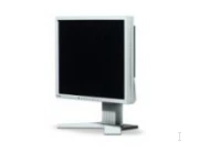 EIZO FlexScan® 19 inch LCD