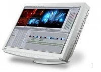 EIZO FlexScan 21.1" Class Color LCD Monitor