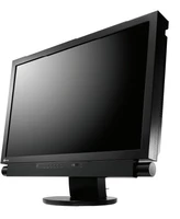 EIZO FX2431