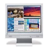 EIZO L565 17IN TFT ANALOG DIG