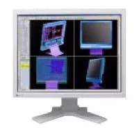 EIZO L985EX 21.3TFT ANA DIG