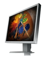 EIZO S2100