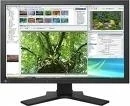EIZO SX2461W