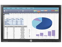 HP ProDisplay P202 20-inch Monitor Head Only