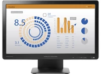 HP ProDisplay P202va