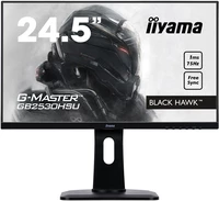 iiyama GB2530HSU-B1