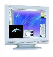 Philips 200P3M 20.1" TFT .255 1600x1200 TCO99