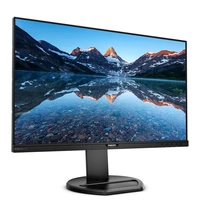 Philips 252B9/11