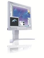 Philips LCD monitor 170P7EG/00