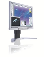 Philips Monitor LCD 170P7ES/00