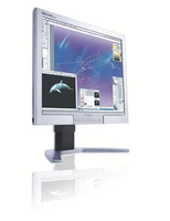 Philips Monitor LCD 200P7ES/00