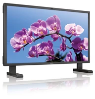 Philips LCD monitor BDL6551V/00