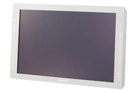 Sony LMD-2451MD